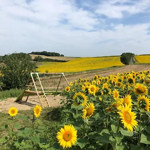 Les D'en Julio , Puylaurens France